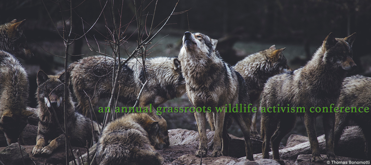 Speak for Wolves